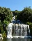 Awatar użytkownika