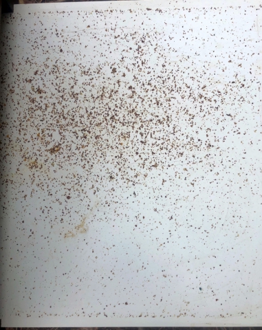 160C0B29-5104-409C-B084-96CB2422168B