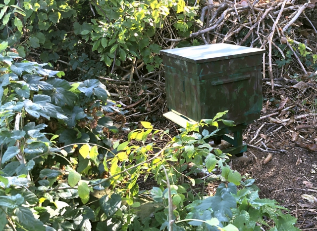 IMG 0301